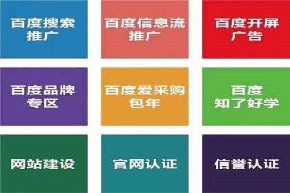 SEM托管代运营案例：助力企业品牌塑造
